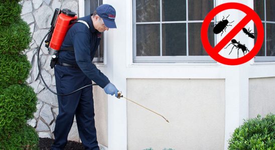 Ulus Akrep İlaçlama böcek ilaçlama ve haşere kontrolü — ilaclama-tr.com